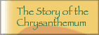 The Story of the Chrysanthemum